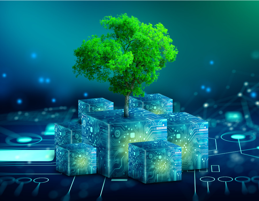 Sustainable Organization