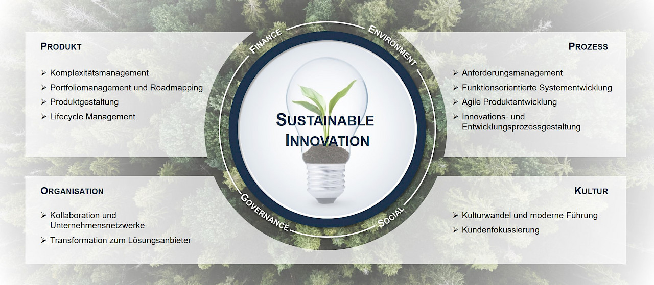 Der Ordnungsrahmen der Fokusgruppe Sustainable Innovation